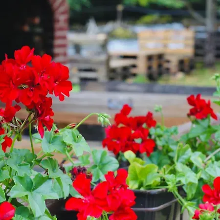 Stone Room-kamena Soba * Sipovo