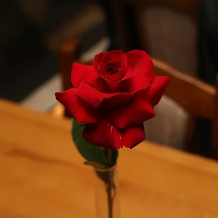 Stone Room-kamena Soba * Šipovo