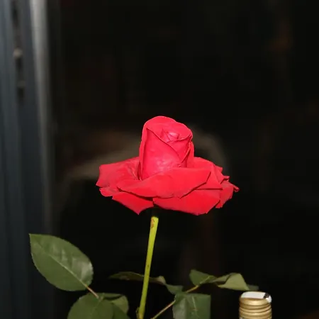 Stone Room-kamena Soba